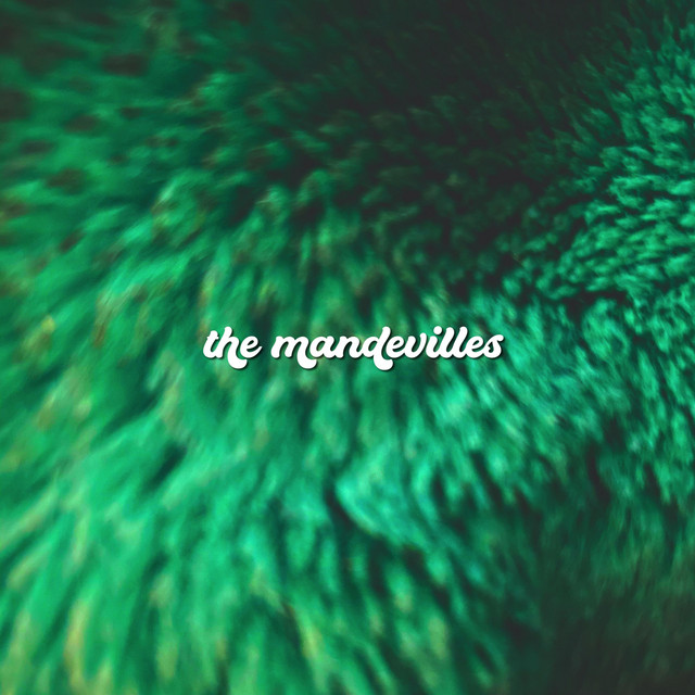 The Mandevilles – Wasn’t Always