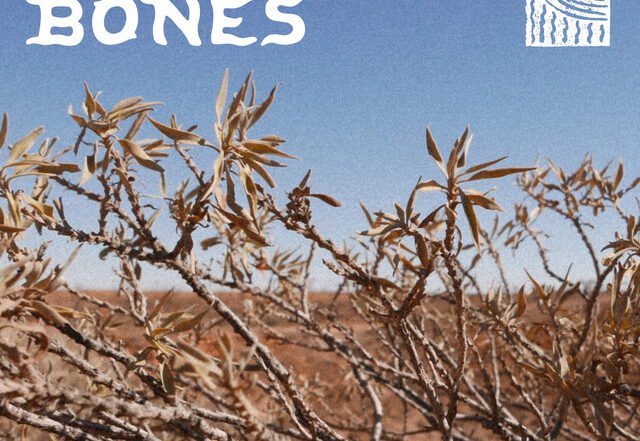 The Rookies - Dry Bones, Jazz music genre, Nagamag Magazine