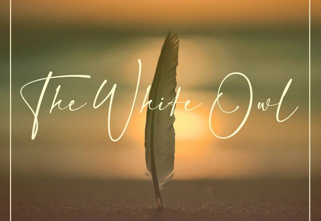 The White Owl - Rhode Rider - Strange Days, Electronica music genre, Nagamag Magazine