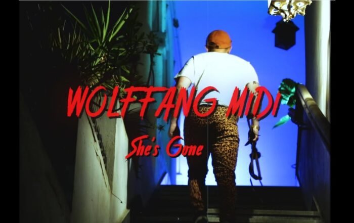 Wolf Fang Midi - She's gone, Blogwave music genre, Nagamag Magazine