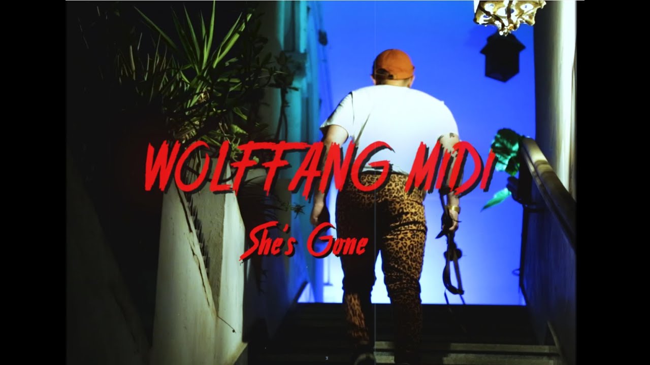Wolf Fang Midi - She's gone, Blogwave music genre, Nagamag Magazine