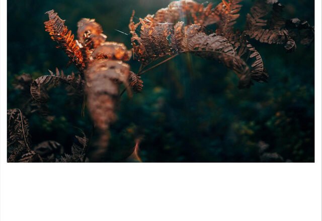 Aija Alsina - Lightness, Neoclassical music genre, Nagamag Magazine