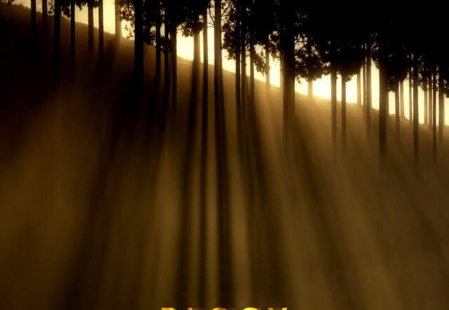 Blooy - Springhead, Jazz music genre, Nagamag Magazine