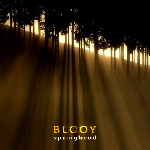 Blooy - Springhead, Jazz music genre, Nagamag Magazine