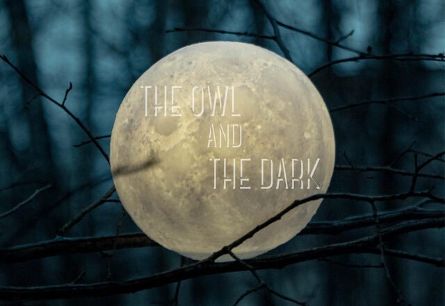 Christof R Davis - The Owl and The Dark, Neoclassical music genre, Nagamag Magazine