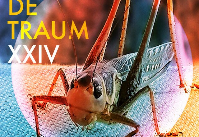 Kawari - Organic Love, Electronica music genre, Nagamag Magazine