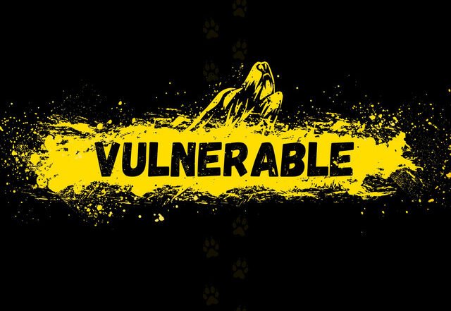 Kayden McCarthy - Vulnerable, Pop music genre, Nagamag Magazine