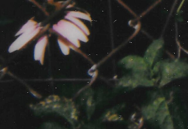 Little Fuss - I Want A Secret, Pop music genre, Nagamag Magazine