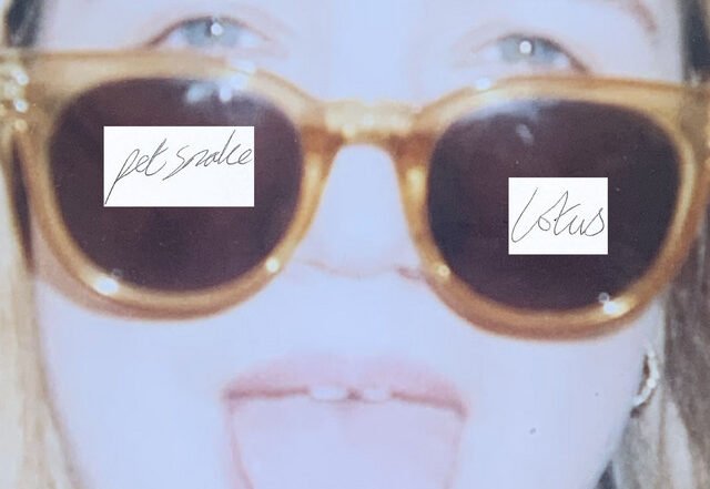 Pet Snake - Lotus, Pop music genre, Nagamag Magazine