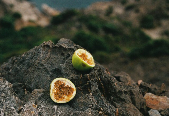 Sergio Díaz De Rojas - Maracuyá / Barranco, Neoclassical music genre, Nagamag Magazine