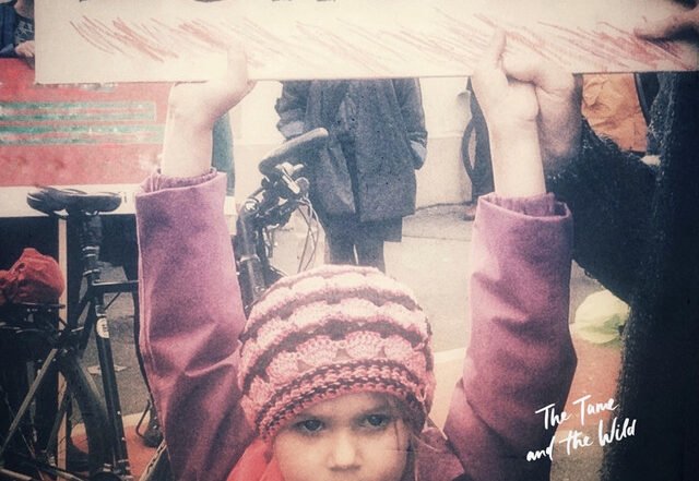 The Tame and the Wild - Schreien Ist Gold, Editorial Selections music genre, Nagamag Magazine