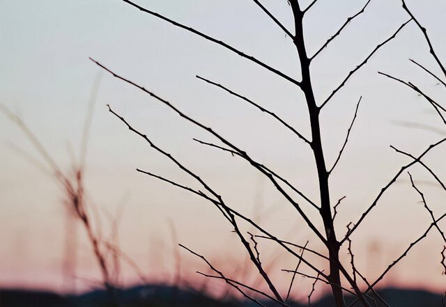 trio de monochrome - DREAM OF INTERLUDE, Jazz music genre, Nagamag Magazine