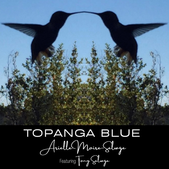 Arielle Moire-Selvage - Topanga Blue, Rock music genre, Nagamag Magazine