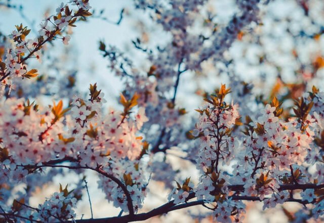 Barron - Without You, House music genre, Nagamag Magazine