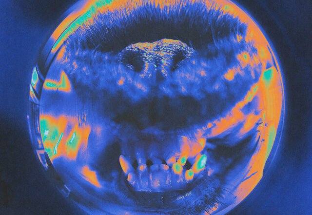 Cash Cash - Anyway ft. RuthAnne, Pop music genre, Nagamag Magazine