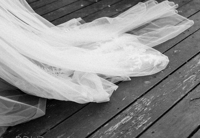 Dave Morris - Novelty, Pop music genre, Nagamag Magazine