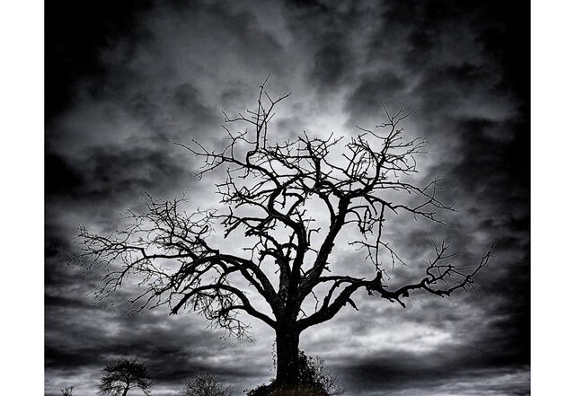 Dennis Korn x Bernd Schreiber - 2049, Neoclassical music genre, Nagamag Magazine