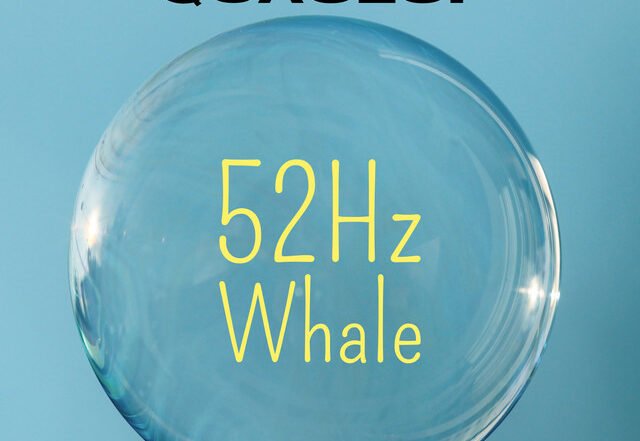 Domenico Quaceci - 52Hz Whale, Neoclassical music genre, Nagamag Magazine