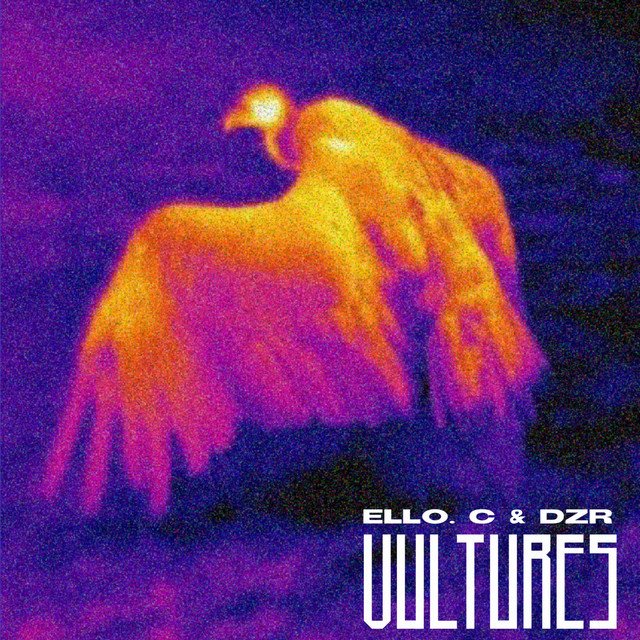 ello-c-x-dzr-vultures-nagamag-music-magazine Ello.C x DZR – VULTURES