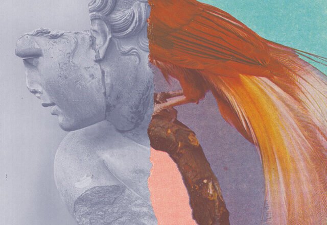 Elskavon - Blossom and the Void, Electronica music genre, Nagamag Magazine