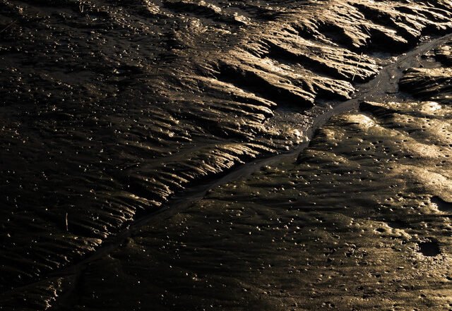 Erwin Deleux - Doodtij, Neoclassical music genre, Nagamag Magazine