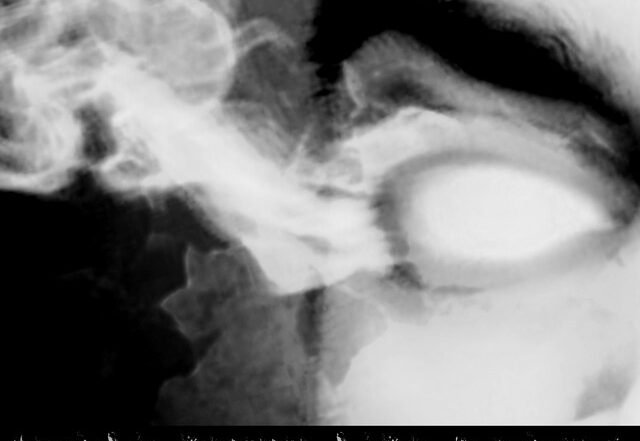 Fire Haste Music - You See Us Now, Neoclassical music genre, Nagamag Magazine