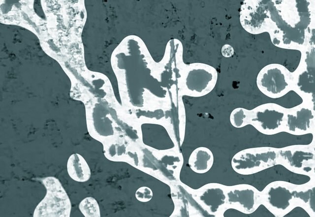 Jacob Roved, Sami Linna, George Kontrafouris - Bowl Full of Yok, Jazz music genre, Nagamag Magazine