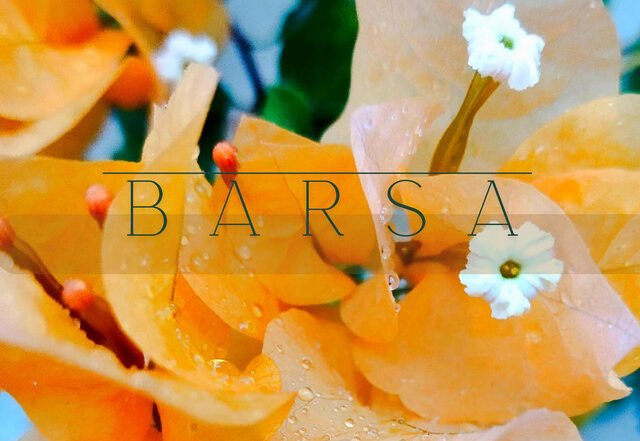 Joshua Singh x Mai Farosh - Barsa, Neoclassical music genre, Nagamag Magazine