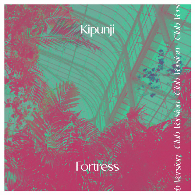 Kipunji - Fortress - Club Version, House music genre, Nagamag Magazine