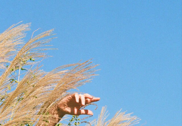 Mandi Mapes - Daffodil Floors, Pop music genre, Nagamag Magazine