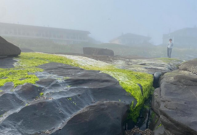 Megan Elise - Casualty, Pop music genre, Nagamag Magazine