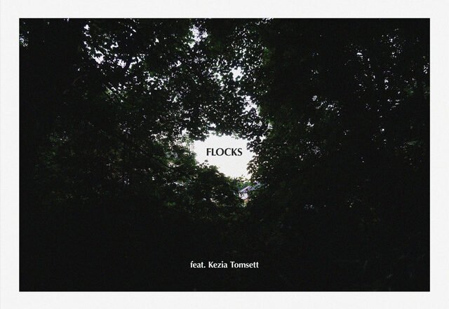 Mountain Range - Flocks, House music genre, Nagamag Magazine