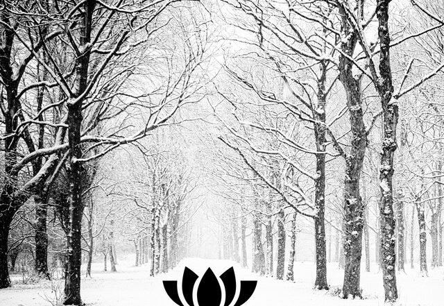 Muidas - Snowfall In D Minor, Neoclassical music genre, Nagamag Magazine