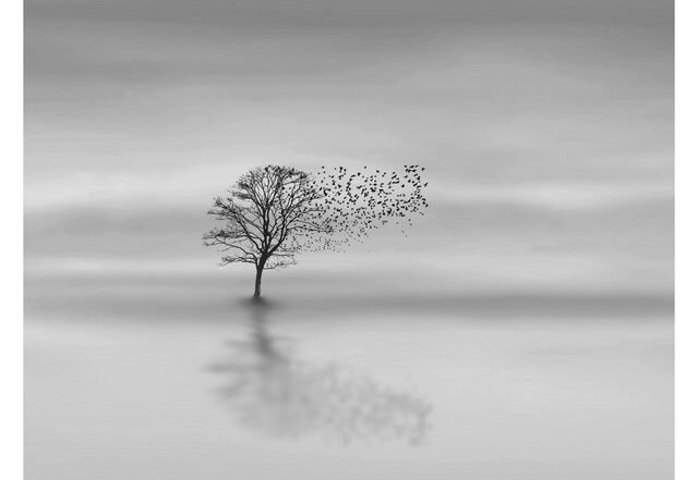 Ola Jacobsen - Peace, Neoclassical music genre, Nagamag Magazine