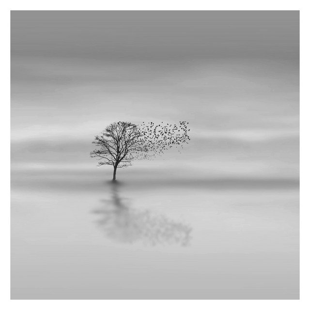 Ola Jacobsen - Peace, Neoclassical music genre, Nagamag Magazine