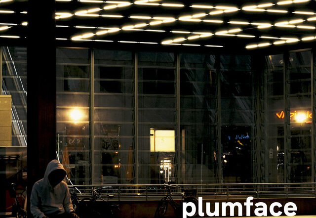 Plumface - When It's Done, Pop music genre, Nagamag Magazine