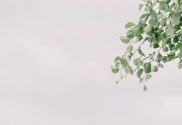 Raw Soul - Ashamed, Hip Hop music genre, Nagamag Magazine