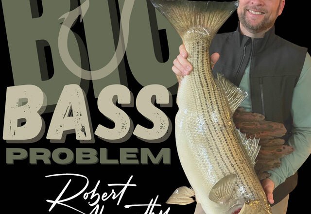 Robert Abernathy - Big Bass Problem, Rock music genre, Nagamag Magazine