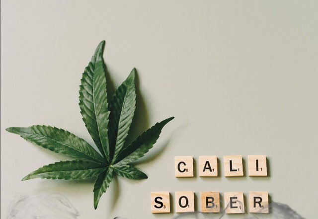 Spyder Deuce - Cali Sober, Hip Hop music genre, Nagamag Magazine