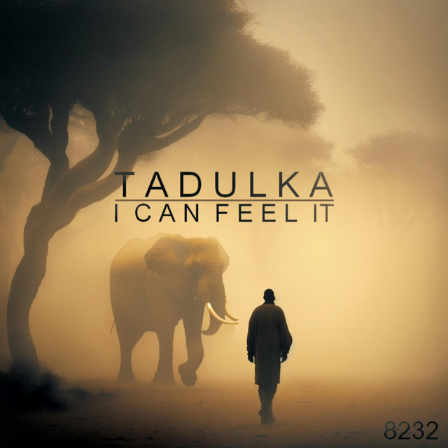 Tadulka - I Can Feel It, Electronica music genre, Nagamag Magazine