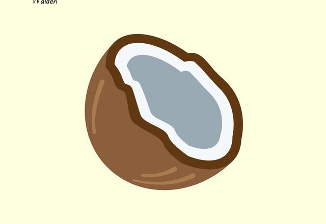 Walden - Motorbike and Coconut, Jazz music genre, Nagamag Magazine