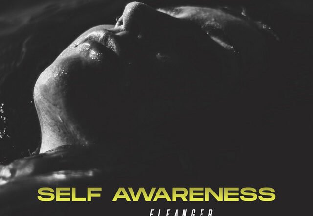 Fleanger - Without U, House music genre, Nagamag Magazine