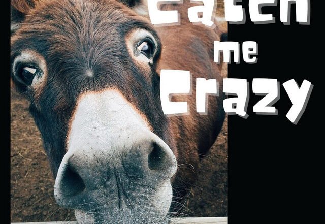 Fletcher Moudy - Catch Me Crazy, Rock music genre, Nagamag Magazine