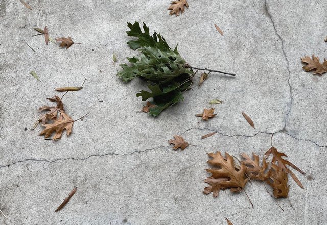 HENRY ABERSON - What Lovers Do, Jazz music genre, Nagamag Magazine