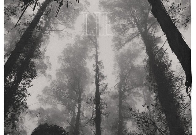 Julia K - Lie, Pop music genre, Nagamag Magazine