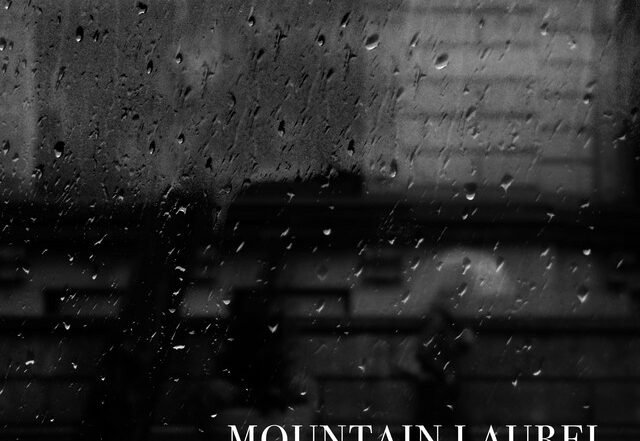 Mountain Laurel - The Weather, Rock music genre, Nagamag Magazine