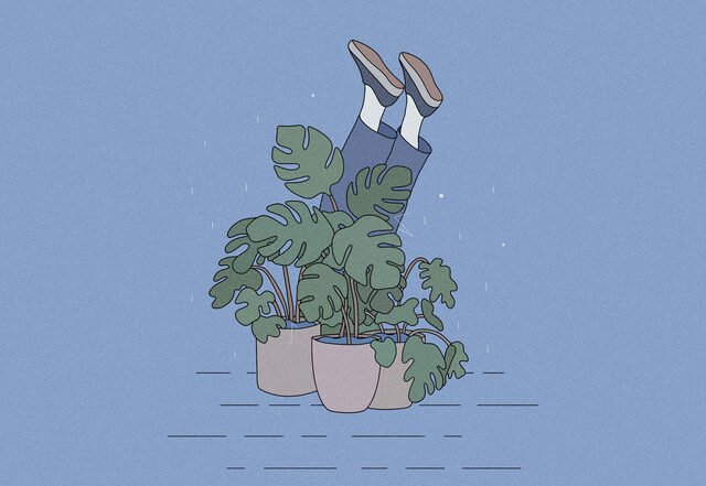 Odaiba - Superfunk, Jazz music genre, Nagamag Magazine