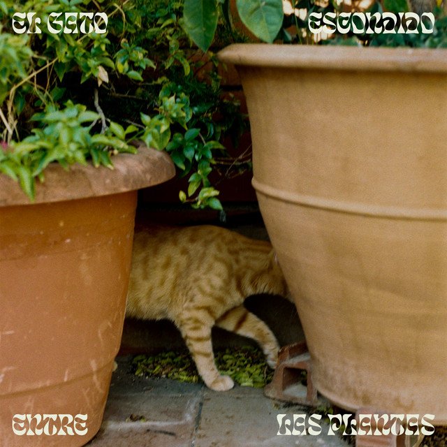 Sergio Díaz De Rojas - El gato escondido entre las plantas, Neoclassical music genre, Nagamag Magazine