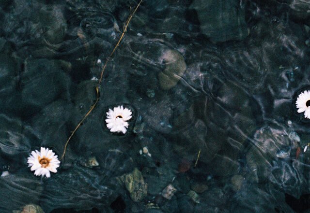 Sergio Díaz De Rojas - Holding her is where I learned forgiveness, Neoclassical music genre, Nagamag Magazine