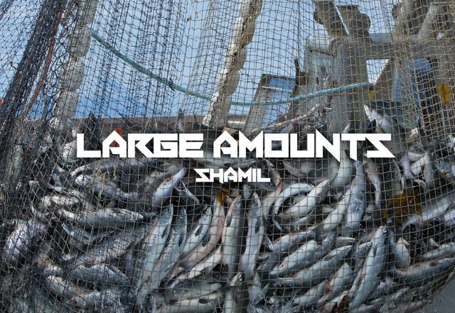 shamil  - Large Amounts, Hip Hop music genre, Nagamag Magazine